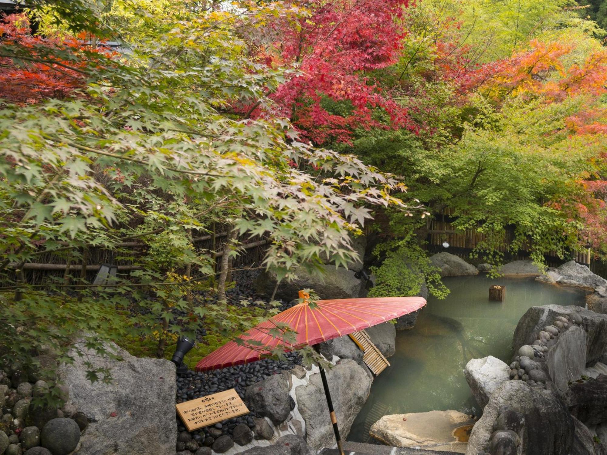 Hikyou Shirakawagensen Sansou Takefue Minamioguni Extérieur photo