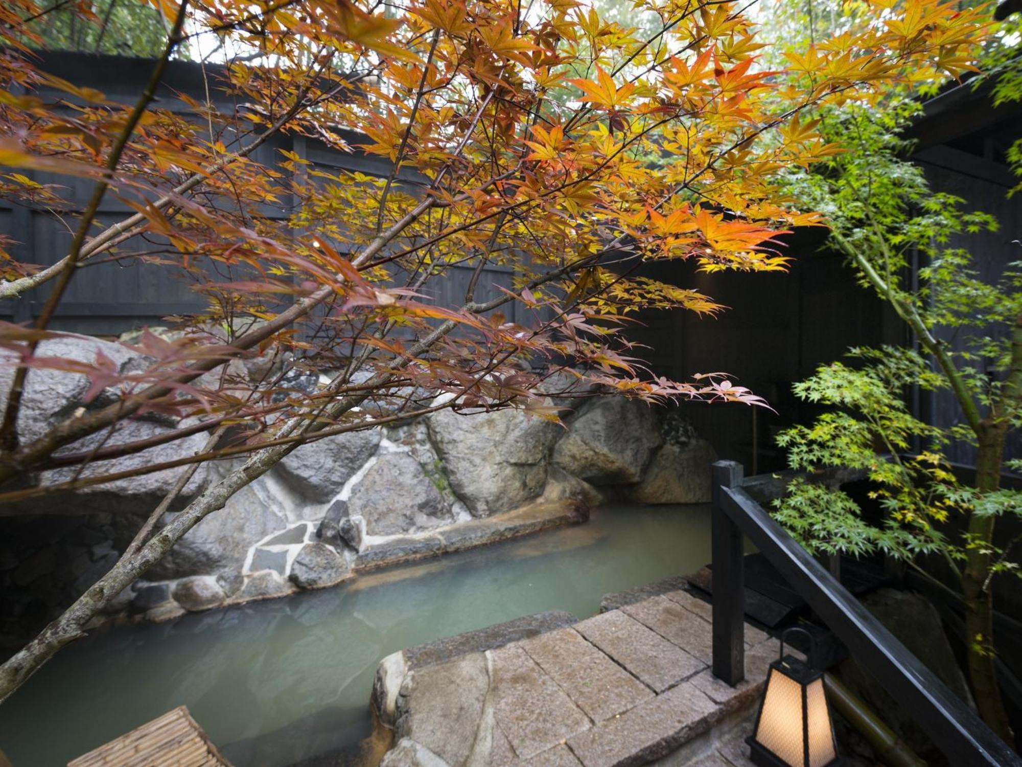 Hikyou Shirakawagensen Sansou Takefue Minamioguni Extérieur photo